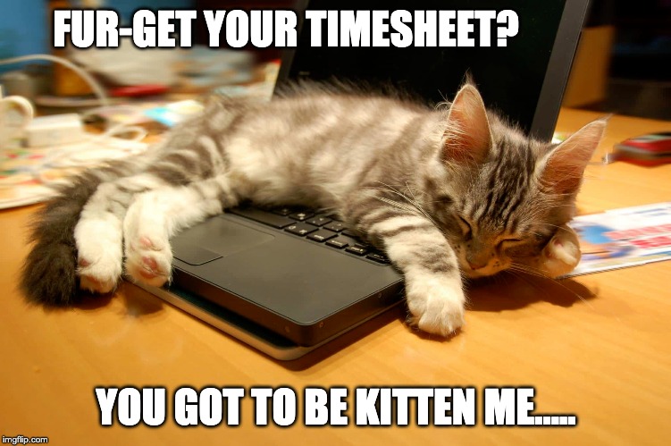 25 Best Memes About Timesheet Reminder Meme Timesheet Reminder Memes ...